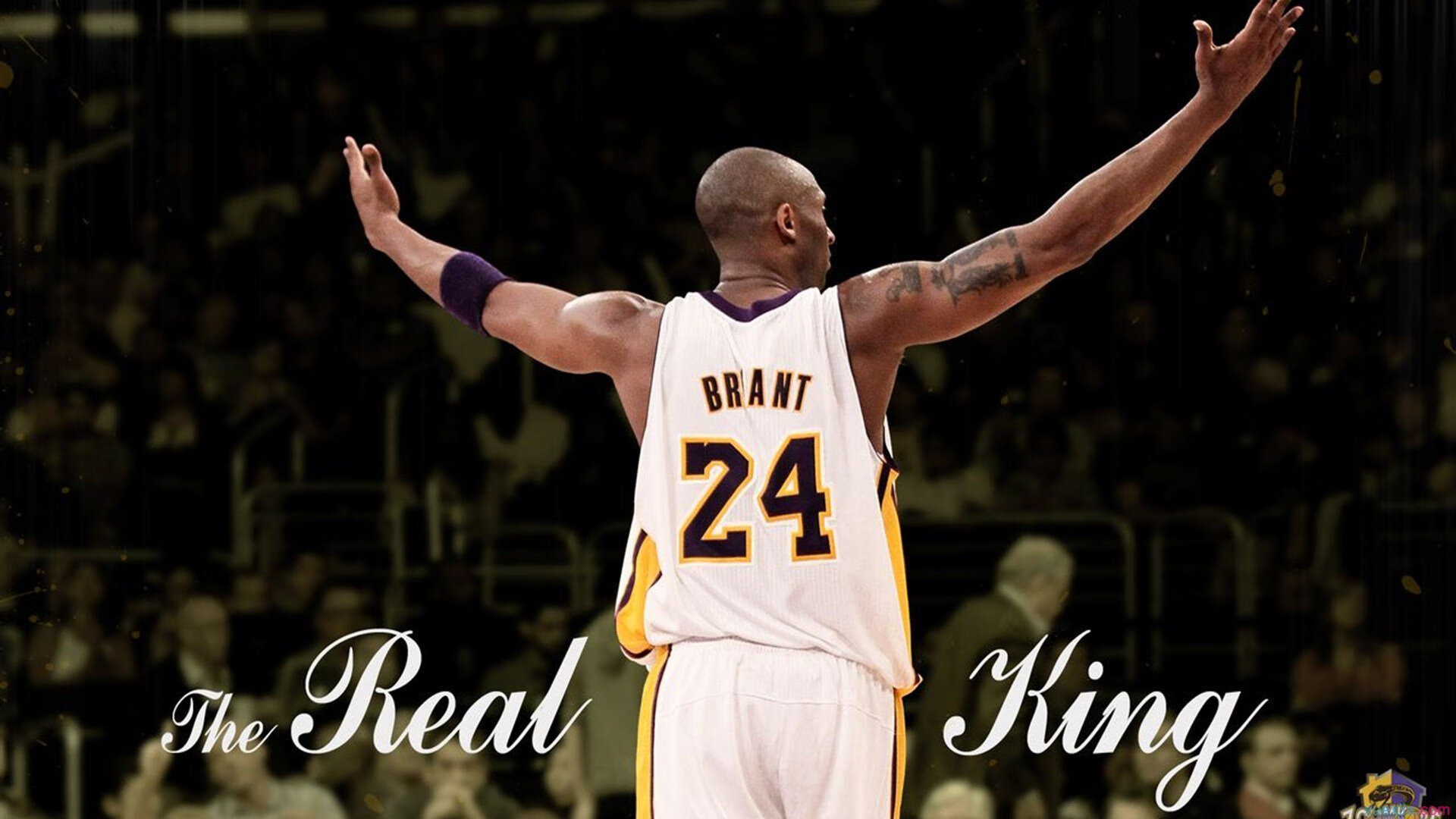 未来联盟：全球化趋势带来的新机遇和挑战，论未来的联合体