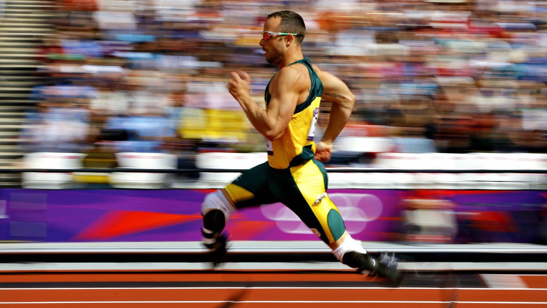 河北“速度王”：国人的赛车梦想，河北速翔赛鸽俱乐部