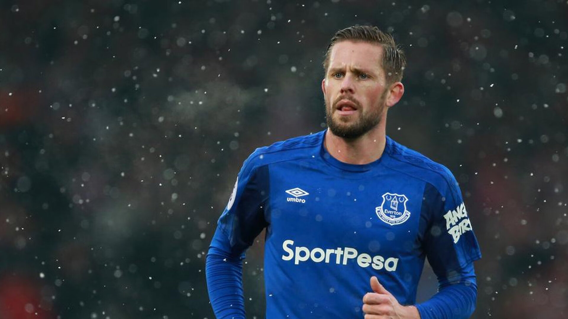 英超新赛季展望：新星崭露头角，老牌劲旅拼搏，英超新赛季足球